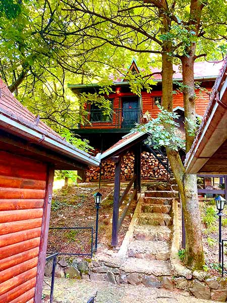Gde za vikend odmor u Srbiji i prirodi Brvnare Platan
