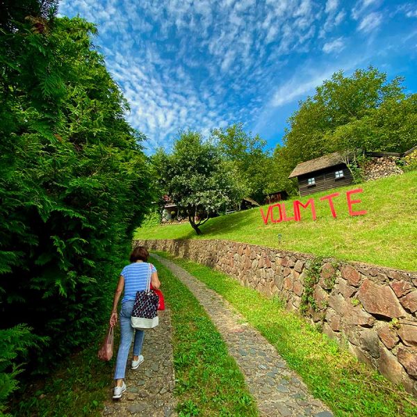 vesna-fruska gora smestaj vrdnik
