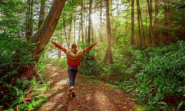 Šumska kupka Ranč Platan Wellness