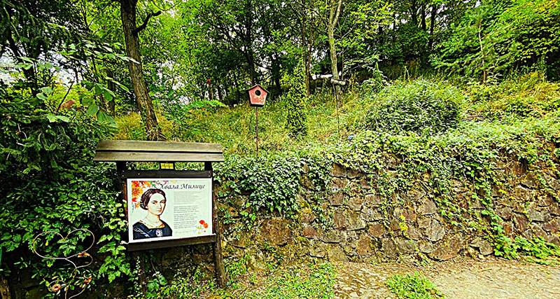 Milica Stojadinović Srpkinja