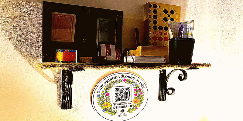 društvene igre fruska gora