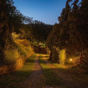 fotokeš ranč platan