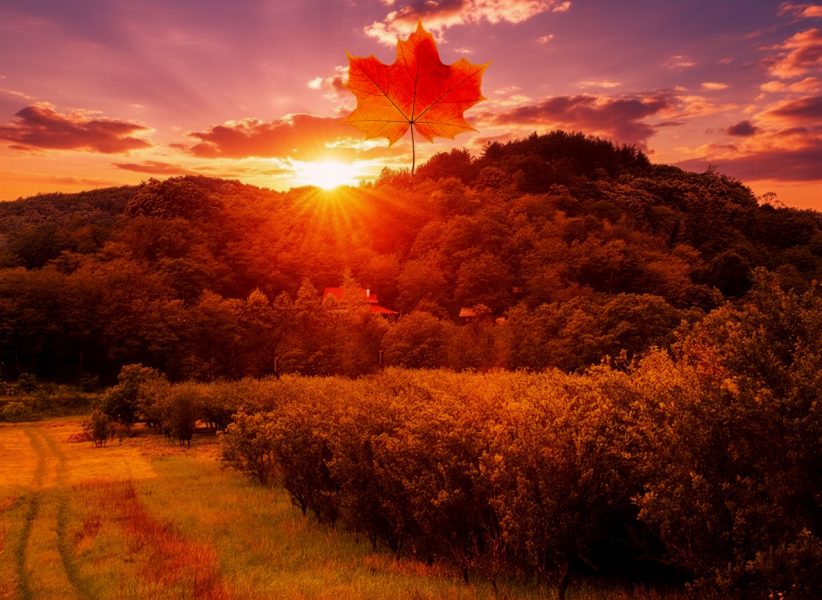 Vikend suton i kamin na fruškoj gori - muzej ljubavi